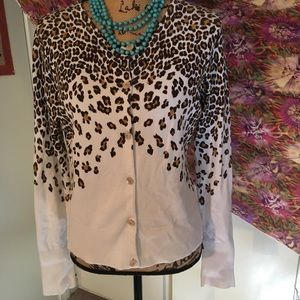 Fun Leopard Print sweater